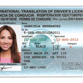 International Driving Permit