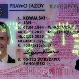 Polish Drivers License