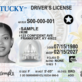 Registered US Driving License