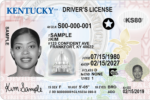 Registered US Driving License